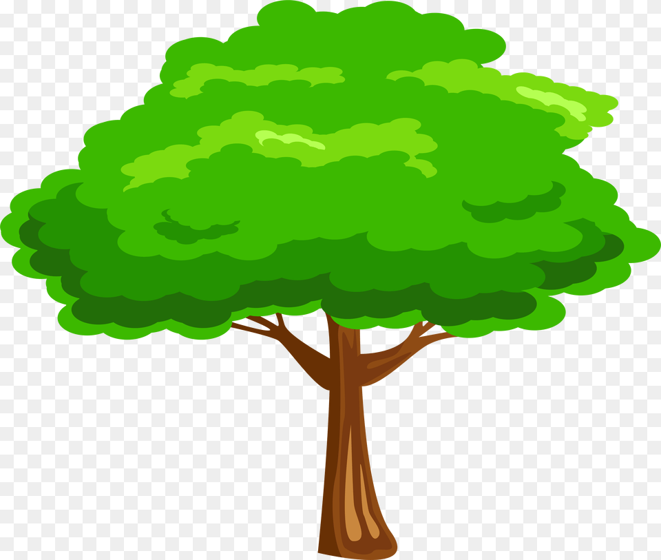 Cartoon Tree, Green, Plant, Vegetation, Woodland Png Image
