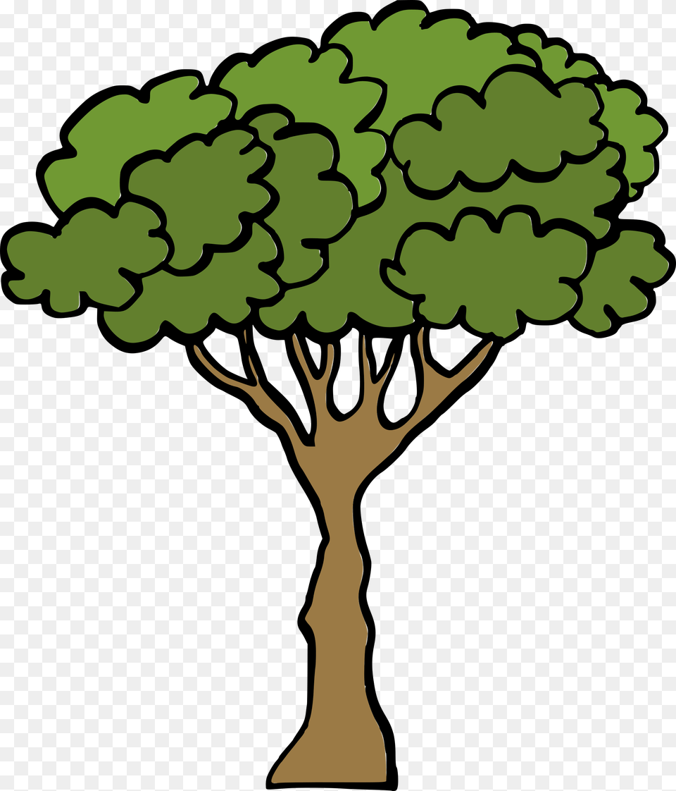 Cartoon Tree 3 Tree Cartoon Transparent, Plant, Potted Plant, Art, Person Png