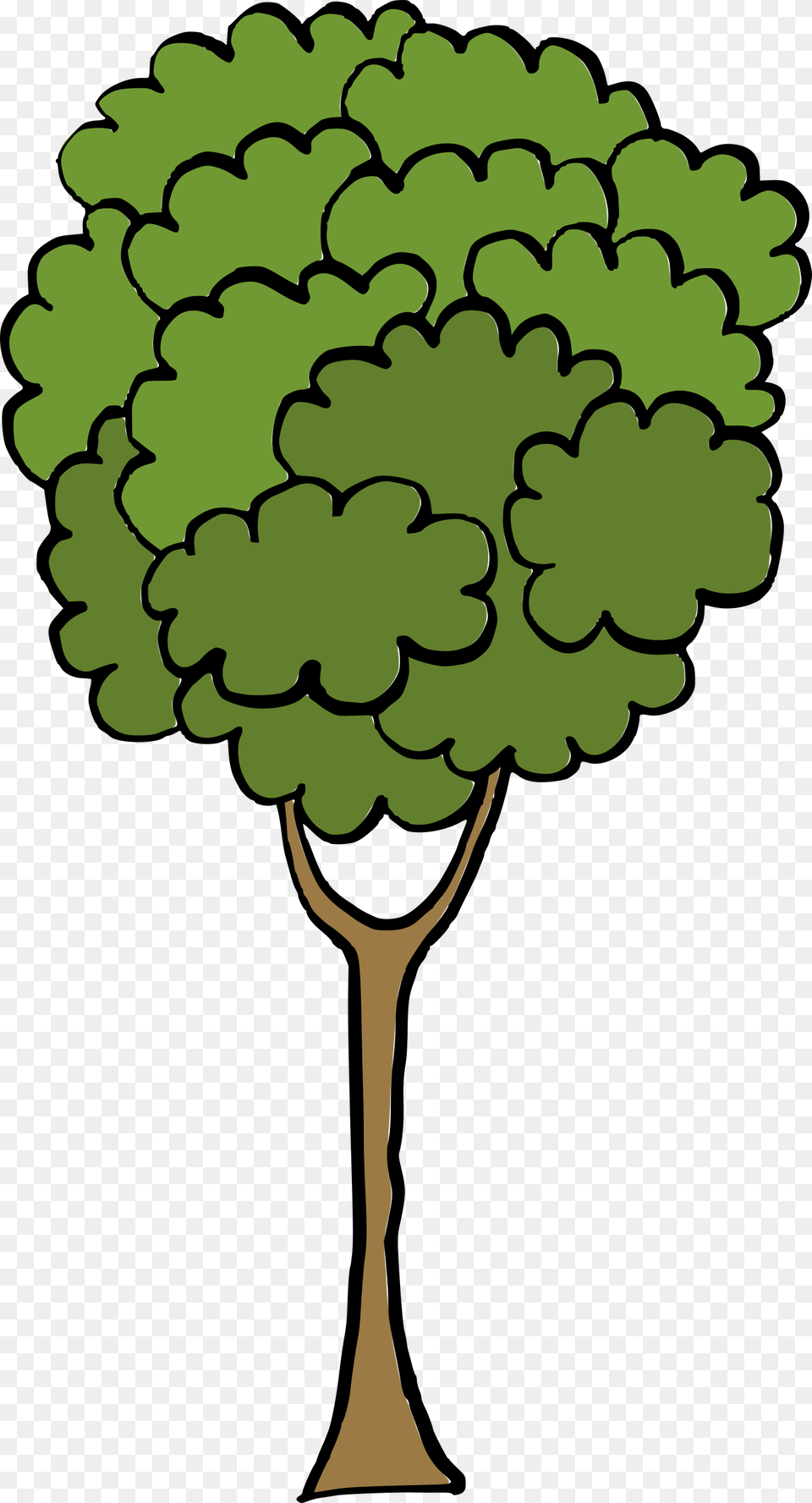 Cartoon Tree, Plant, Potted Plant, Vegetation, Green Png Image