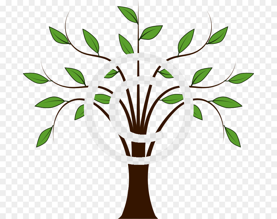 Cartoon Tree Branches, Leaf, Plant, Green, Art Free Png