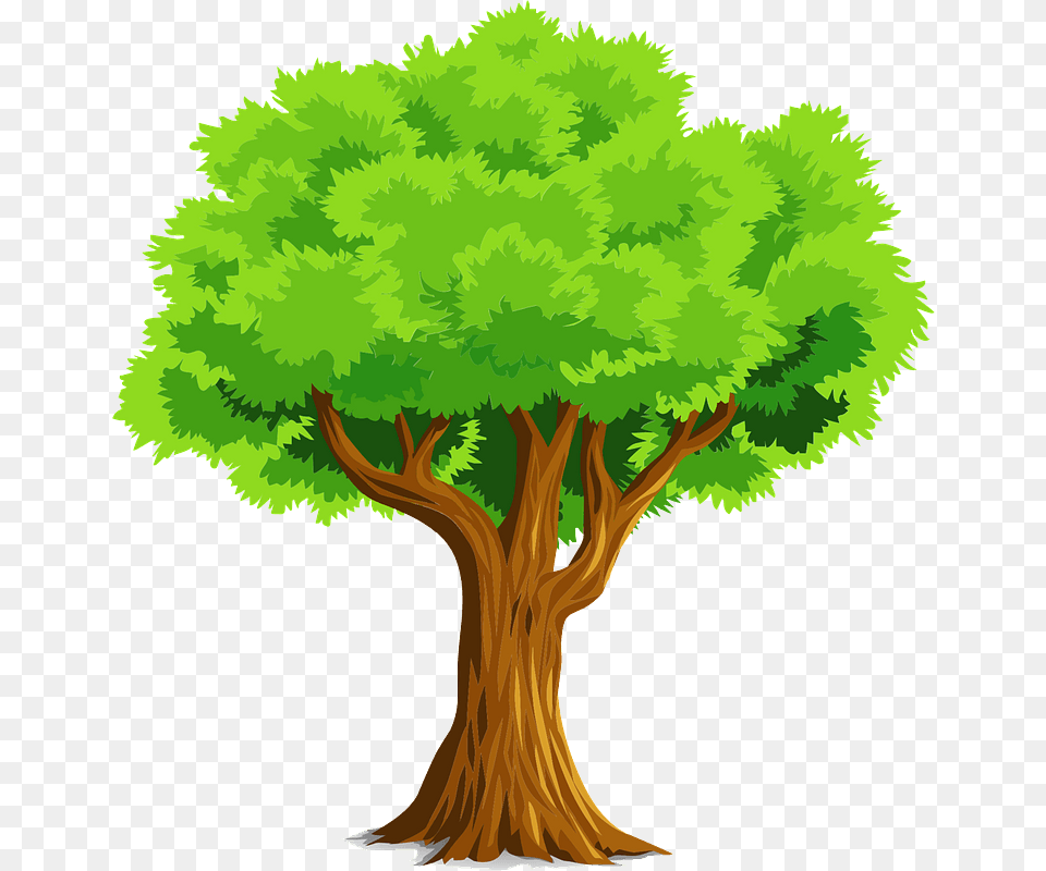 Cartoon Tree Clipart, Plant, Vegetation, Conifer, Tree Trunk Free Png