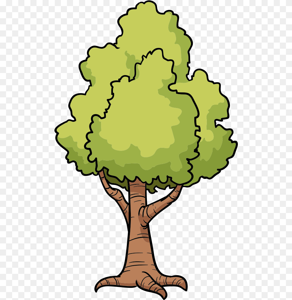 Cartoon Tree Drawing Clip Art Cartoon Tree Drawing, Plant, Person, Face, Head Png Image