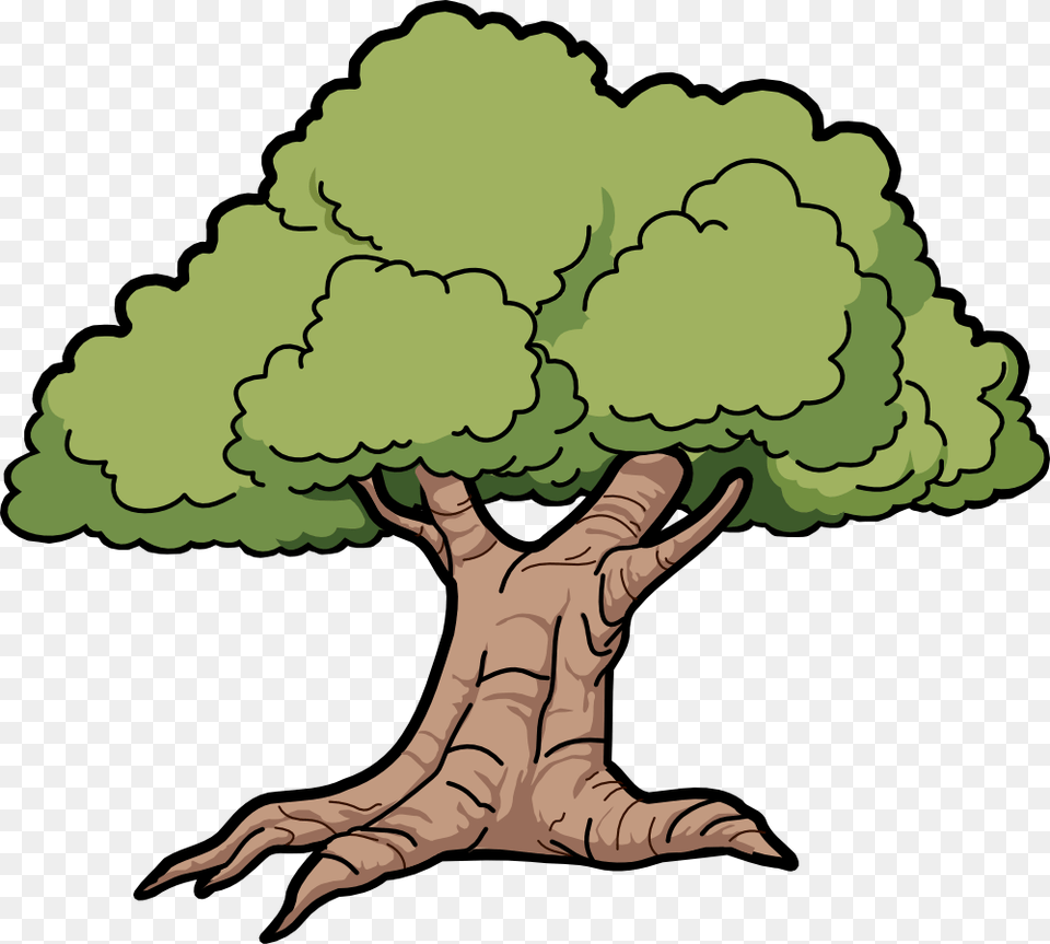 Cartoon Tree Forest Clipart Explore Pictures, Plant, Potted Plant, Baby, Person Free Transparent Png