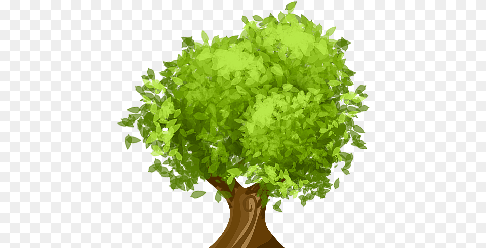 Cartoon Tree Picture Cartoon Tree Leaves, Green, Plant, Potted Plant, Vegetation Png