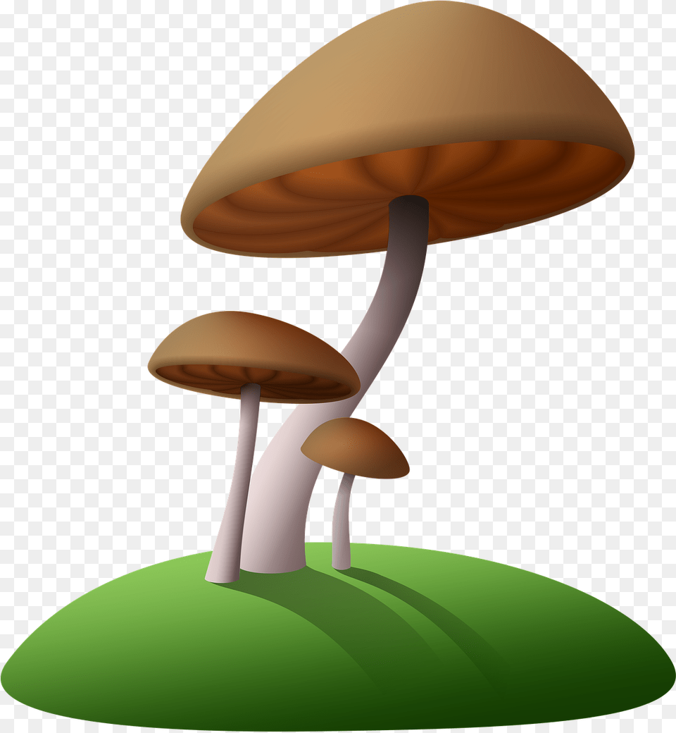 Cartoon Tree Stump 9 Buy Clip Art Transparent Background Mushroom Clip Art, Fungus, Plant, Agaric, Amanita Png