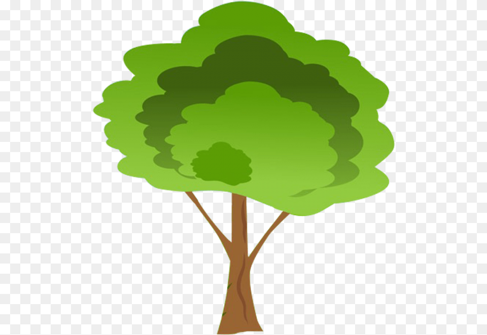 Cartoon Tree Transparent Background, Green, Plant, Leaf, Vegetation Png