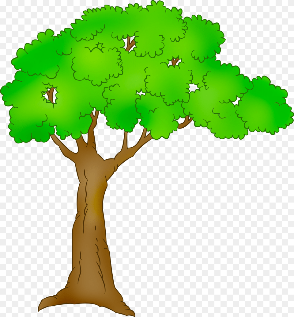 Cartoon Tree Transparent Background, Green, Oak, Plant, Sycamore Png Image