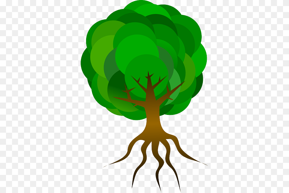 Cartoon Tree With Roots, Green, Plant, Root Free Png Download