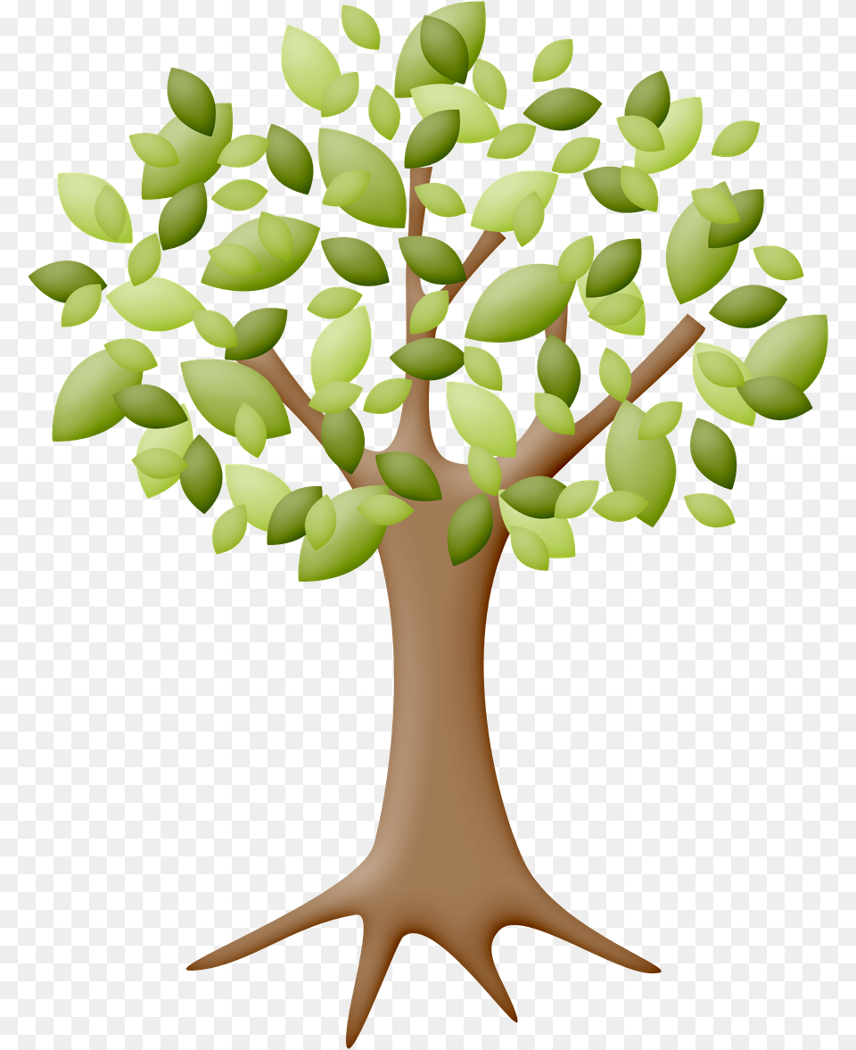 Cartoon Tree Without Leaves Drawing, Plant, Potted Plant, Leaf, Green Png