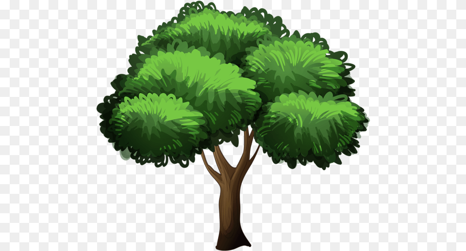 Cartoon Trees Picture Trees Transparent Backgrounds, Green, Plant, Tree, Vegetation Free Png
