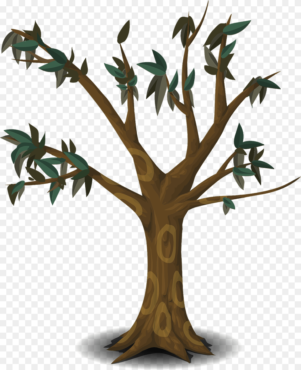 Cartoon Trees With Branches, Plant, Tree, Tree Trunk, Wood Png Image