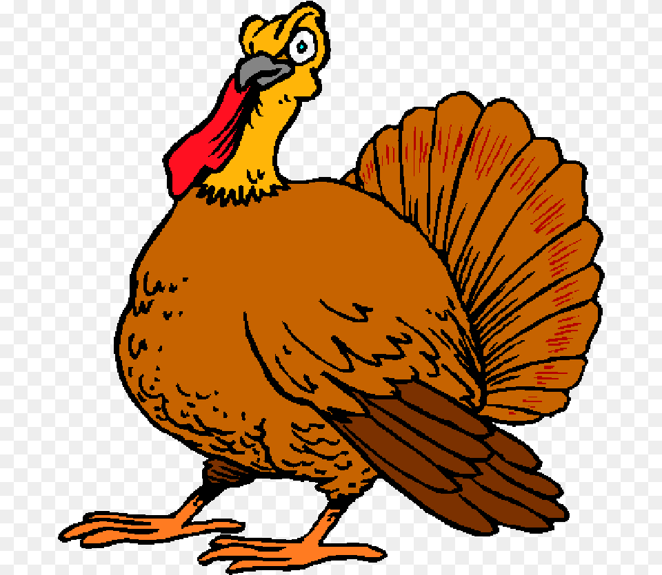 Cartoon Turkey Image Thanks For Giving Me, Animal, Beak, Bird, Person Png