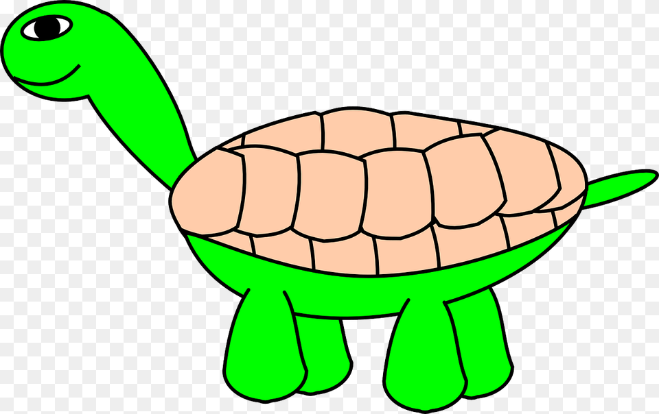 Cartoon Turtle, Animal, Reptile, Sea Life, Tortoise Free Png Download