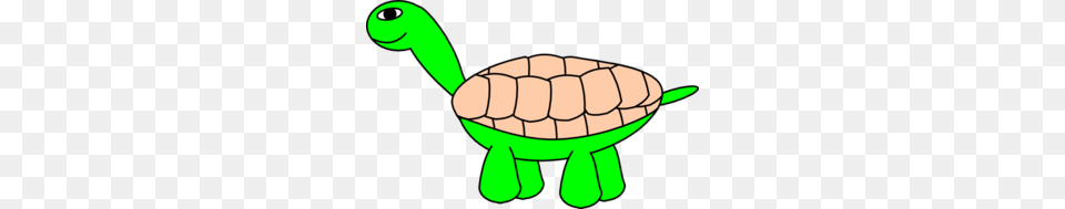 Cartoon Turtle Clip Art For Web, Animal, Reptile, Sea Life, Tortoise Free Transparent Png
