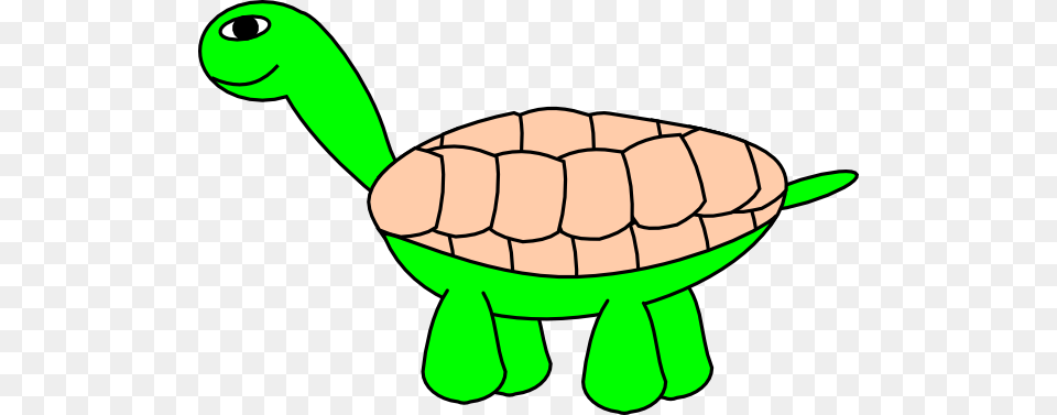 Cartoon Turtle Clip Art For Web, Animal, Reptile, Sea Life, Tortoise Free Png Download