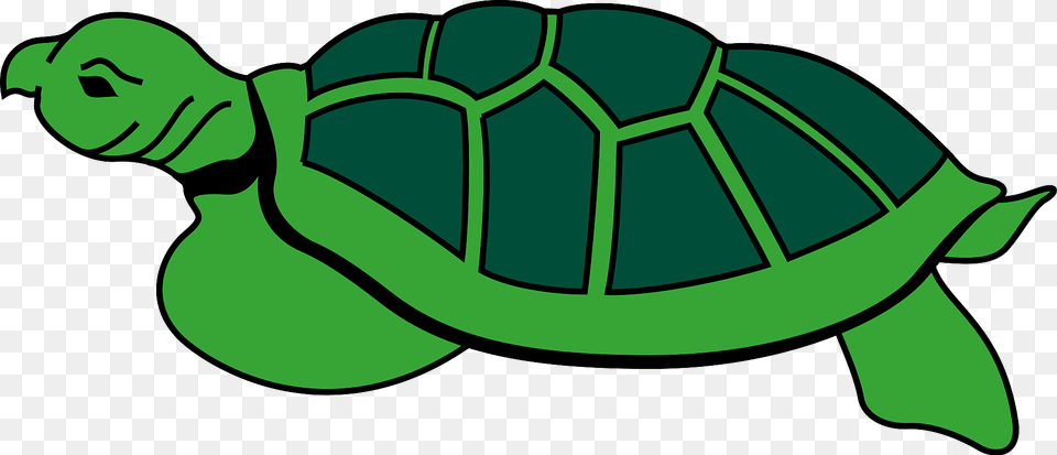 Cartoon Turtle Clipart, Animal, Reptile, Sea Life, Tortoise Free Png Download