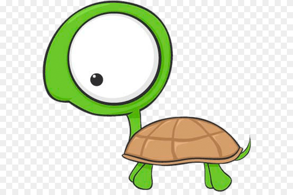 Cartoon Turtle Vector Cartoon Big Eye Turtle, Animal, Reptile, Sea Life, Tortoise Free Transparent Png