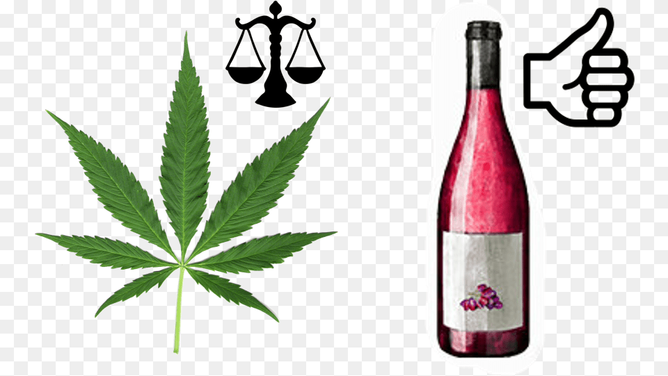 Cartoon Weed Leaf Cannabis Leaf, Plant, Alcohol, Wine, Liquor Free Png Download