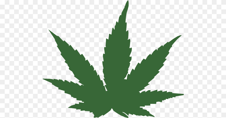 Cartoon Weed Leaf Marijuana Leaf, Plant, Herbal, Herbs Png Image