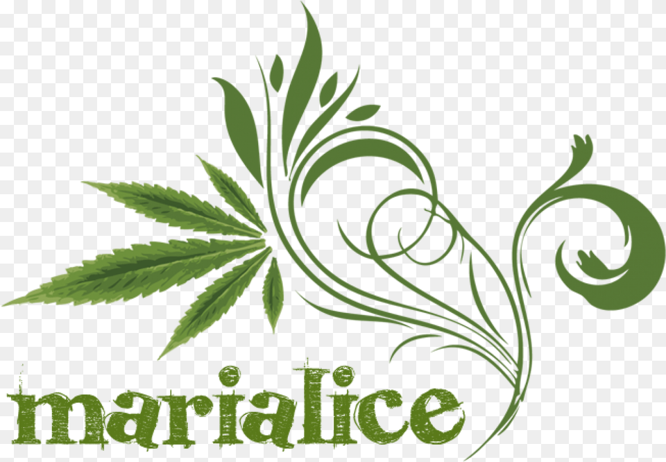 Cartoon Weed Leaf Participants Hd Download, Green, Herbal, Herbs, Plant Png
