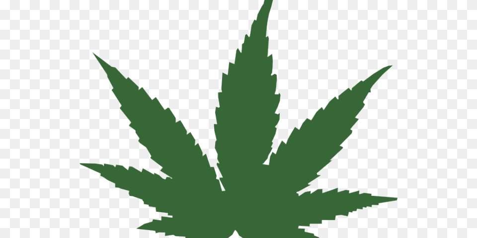 Cartoon Weed Plant Marijuana Leaf Clipart, Herbal, Herbs, Person Png Image