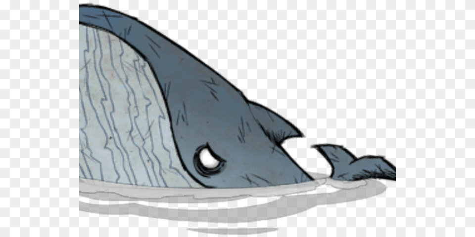 Cartoon Whale Blue Whale, Animal, Mammal, Sea Life, Outdoors Png