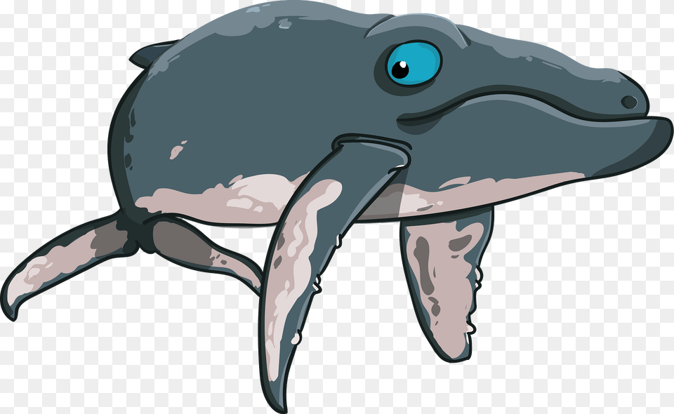 Cartoon Whale Clipart, Animal, Dolphin, Mammal, Sea Life Free Png