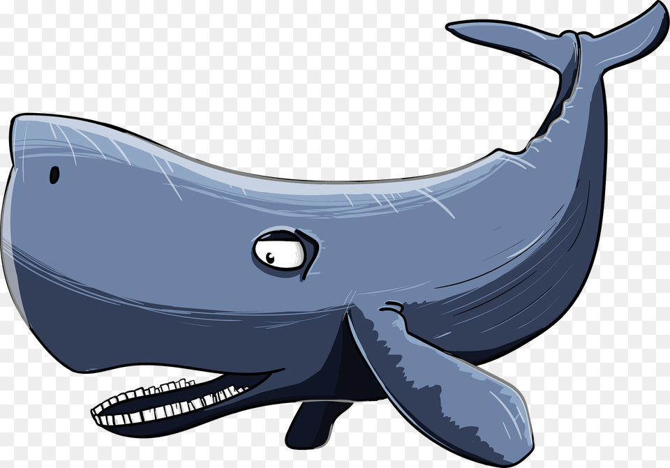 Cartoon Whale Clipart, Animal, Mammal, Sea Life, Fish Free Transparent Png