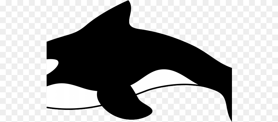 Cartoon Whale Whale Clip Art, Silhouette, Animal, Sea Life, Stencil Free Png Download