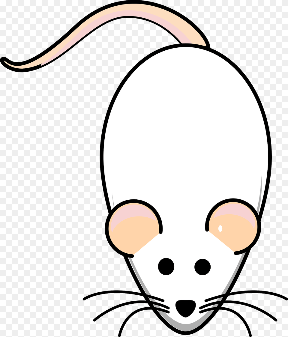 Cartoon White Mouse Clipart, Computer Hardware, Electronics, Hardware, Animal Png