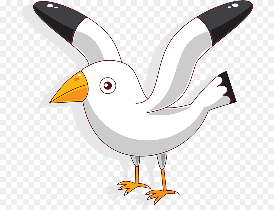 Cartoon White Seagull Transparent Transparent Background Seagull, Animal, Beak, Bird, Waterfowl Png