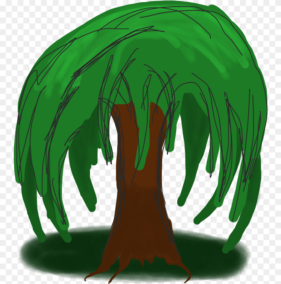 Cartoon Willow Tree Willow Tree Cartoon Drawing, Green, Plant, Vegetation, Moss Png Image