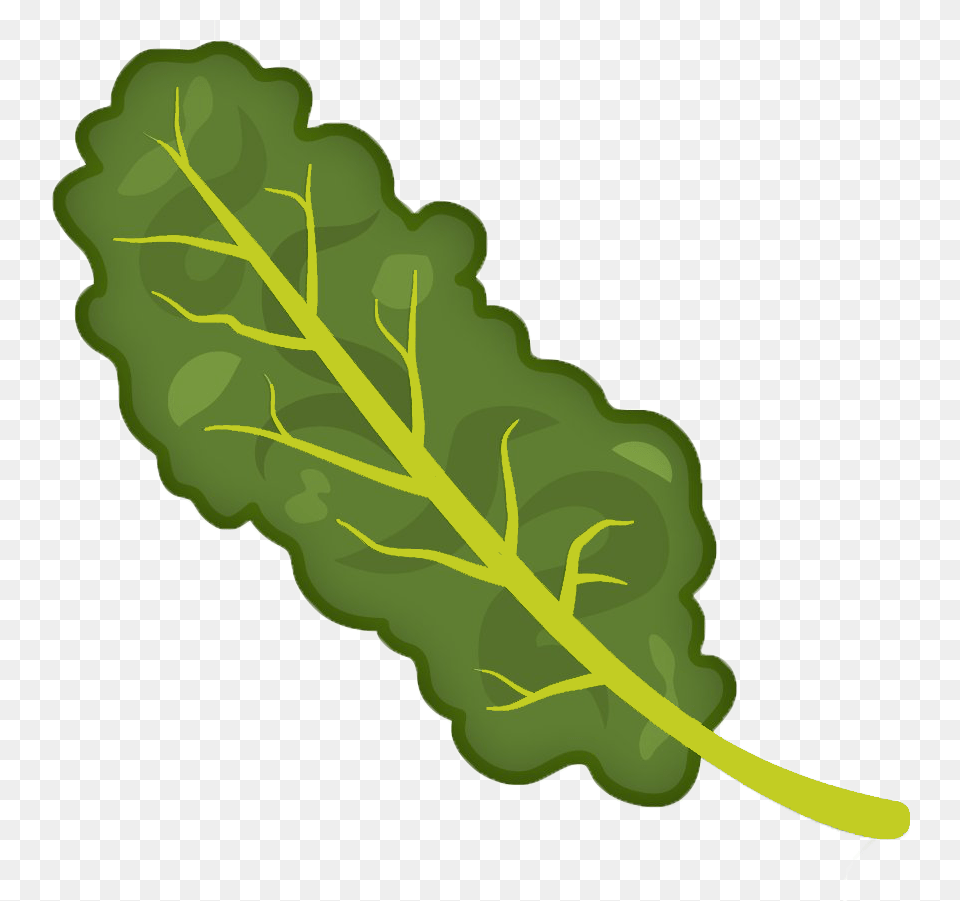 Cartooned Image Of Kale Kale Clipart, Leaf, Plant, Food, Produce Png