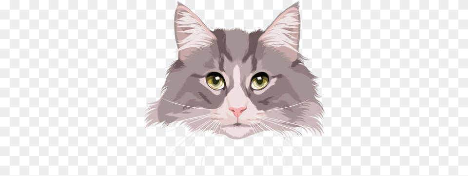 Cartoonize Your Cat Domestic Cat, Angora, Animal, Mammal, Pet Free Transparent Png