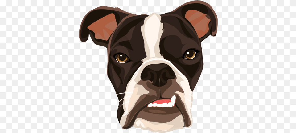 Cartoonize Your Dog Boston Terrier, Animal, Mammal, Canine, Bulldog Free Png