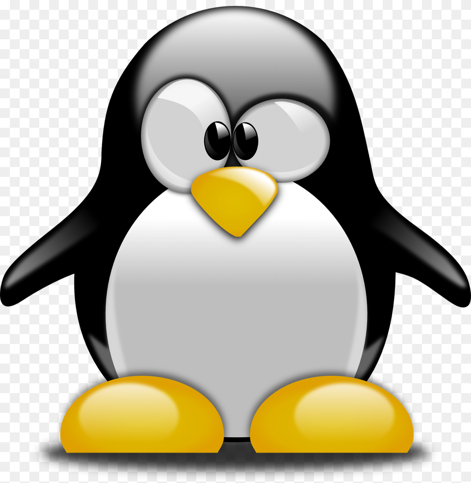 Cartoons For Kids, Animal, Bird, Penguin, Clothing Free Transparent Png