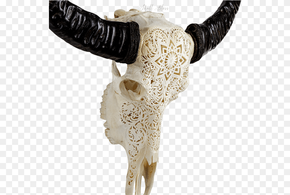 Carved Buffalo Skull, Adult, Person, Woman, Female Png Image