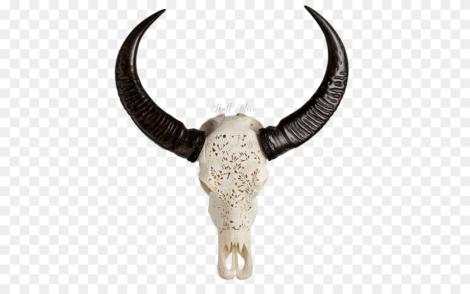 Carved Buffalo Skull, Animal, Bull, Mammal, Cattle Png