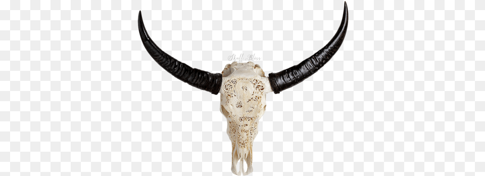 Carved Buffalo Skull African Buffalo, Accessories, Necklace, Jewelry, Weapon Png