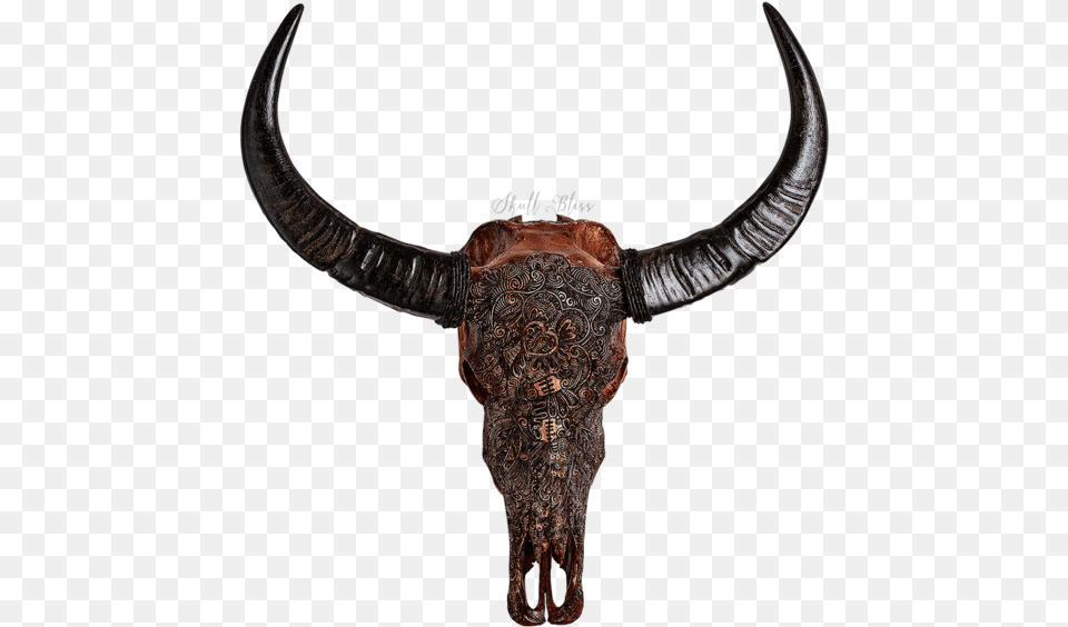 Carved Buffalo Skull Antique, Animal, Bull, Mammal, Cattle Free Transparent Png