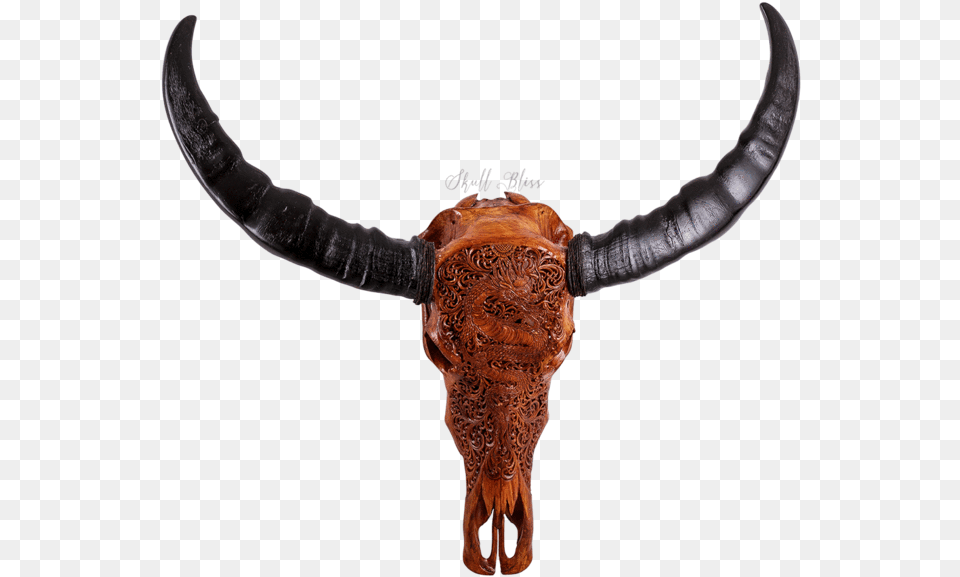Carved Buffalo Skull Buffalo Horn, Animal, Mammal, Bull, Cattle Png Image