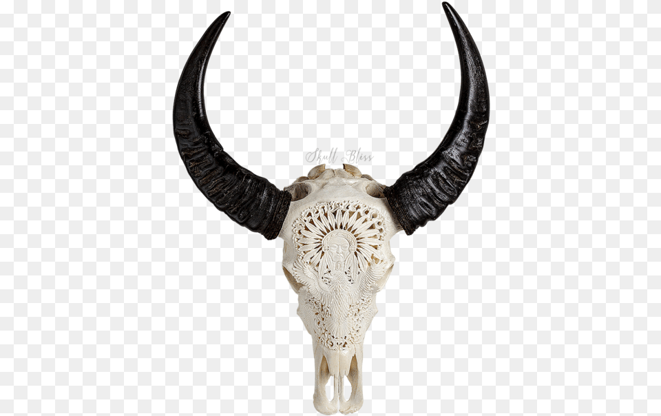 Carved Buffalo Skull Carabao Horn, Animal, Bull, Mammal, Accessories Png Image