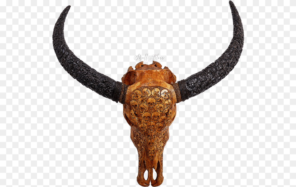 Carved Buffalo Skull Carved Horns Horn, Bronze, Accessories, Mammal, Dinosaur Png