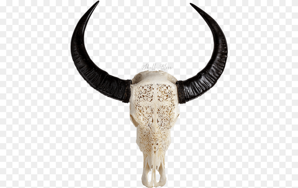 Carved Buffalo Skull Decorative Skull Head Cow, Animal, Bull, Mammal, Accessories Png Image