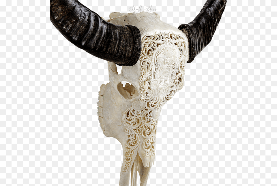 Carved Buffalo Skull Horn, Animal, Bull, Mammal, Adult Png