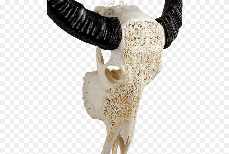 Carved Buffalo Skull Horn, Animal, Bull, Mammal, Adult Free Png Download