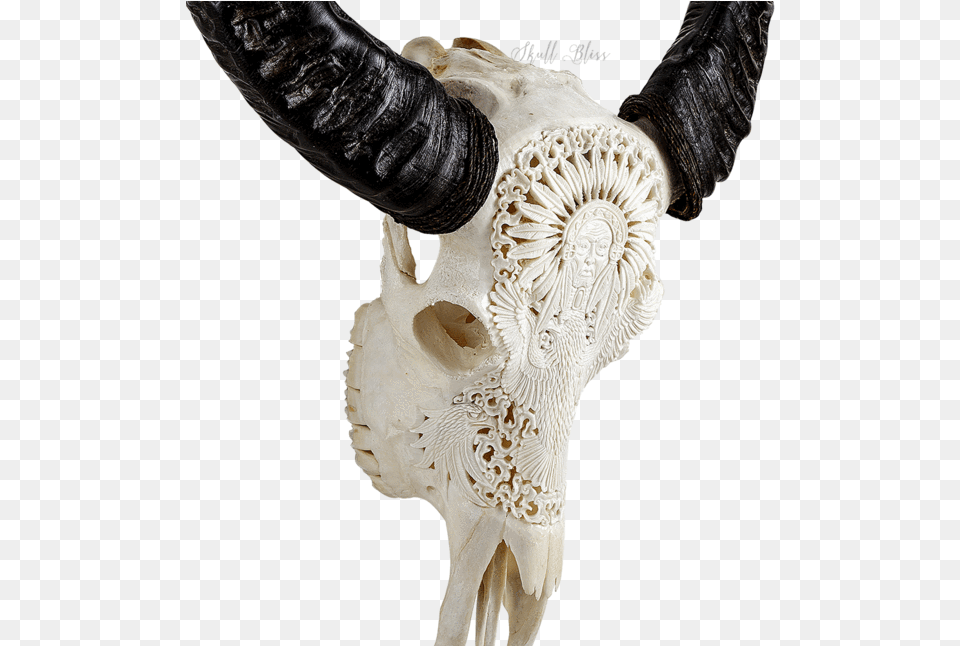 Carved Buffalo Skull Mandala Skull Carving, Adult, Female, Person, Woman Png