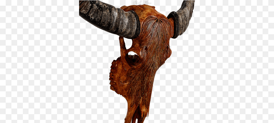 Carved Buffalo Skull Skull, Animal, Bull, Mammal, Cattle Free Transparent Png