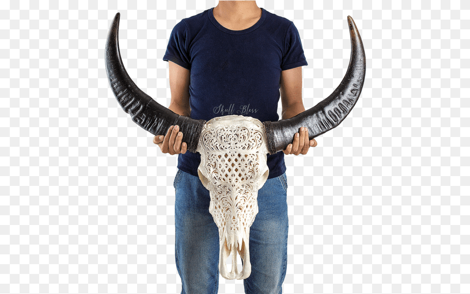 Carved Buffalo Skull Trophy Skull Carve, Animal, Bull, Mammal, Adult Png Image