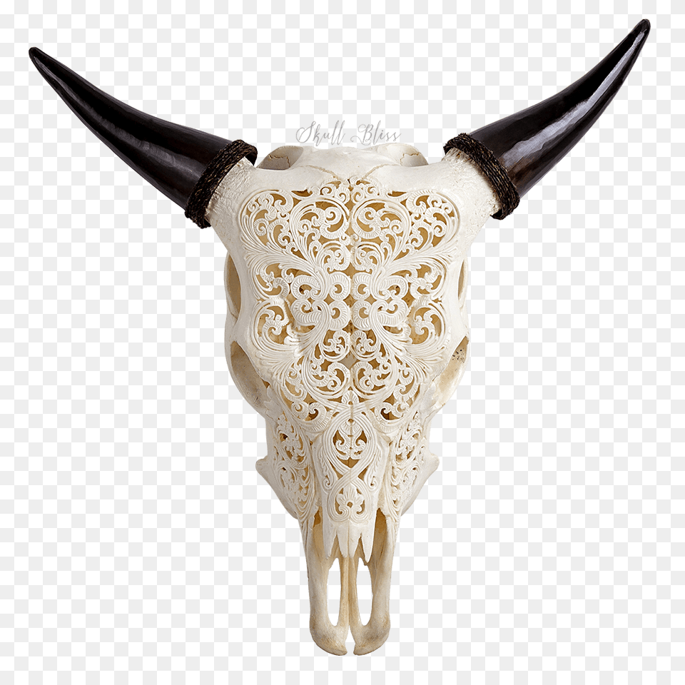 Carved Cow Skull, Weapon, Knife, Blade, Dagger Free Png